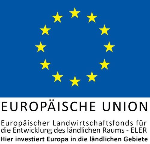 Grafik: Europaflagge gelbe Stern im Kreis auf blauem Hintergrund mit Schriftzügen darunter