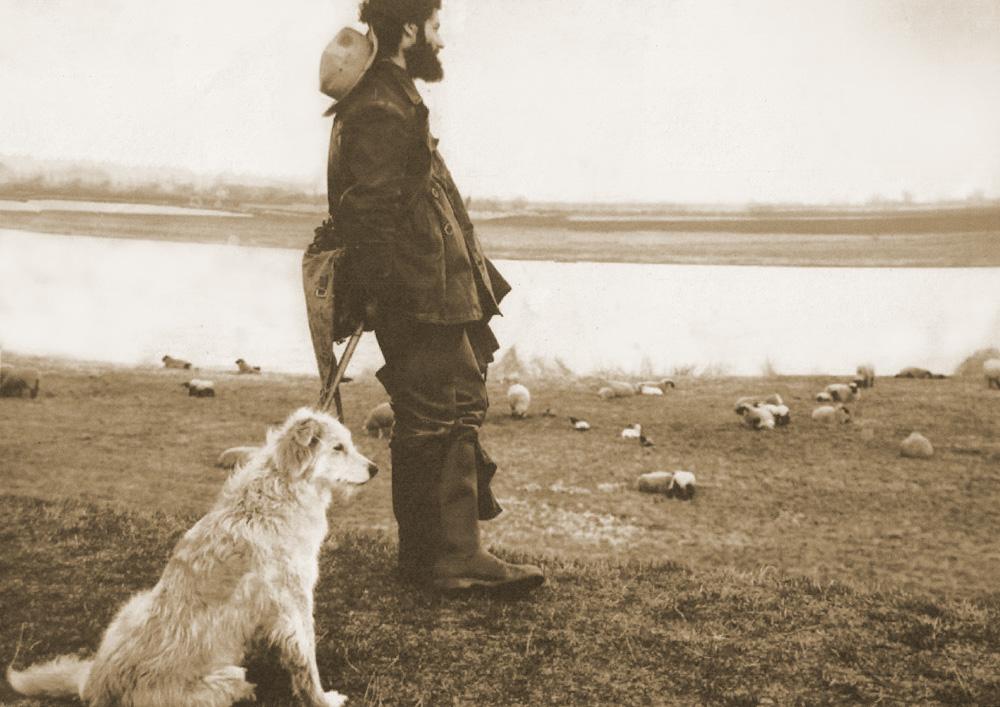 Mann mit Hund vor einer Schafherde und Flusslandschaft im Hintergrund
